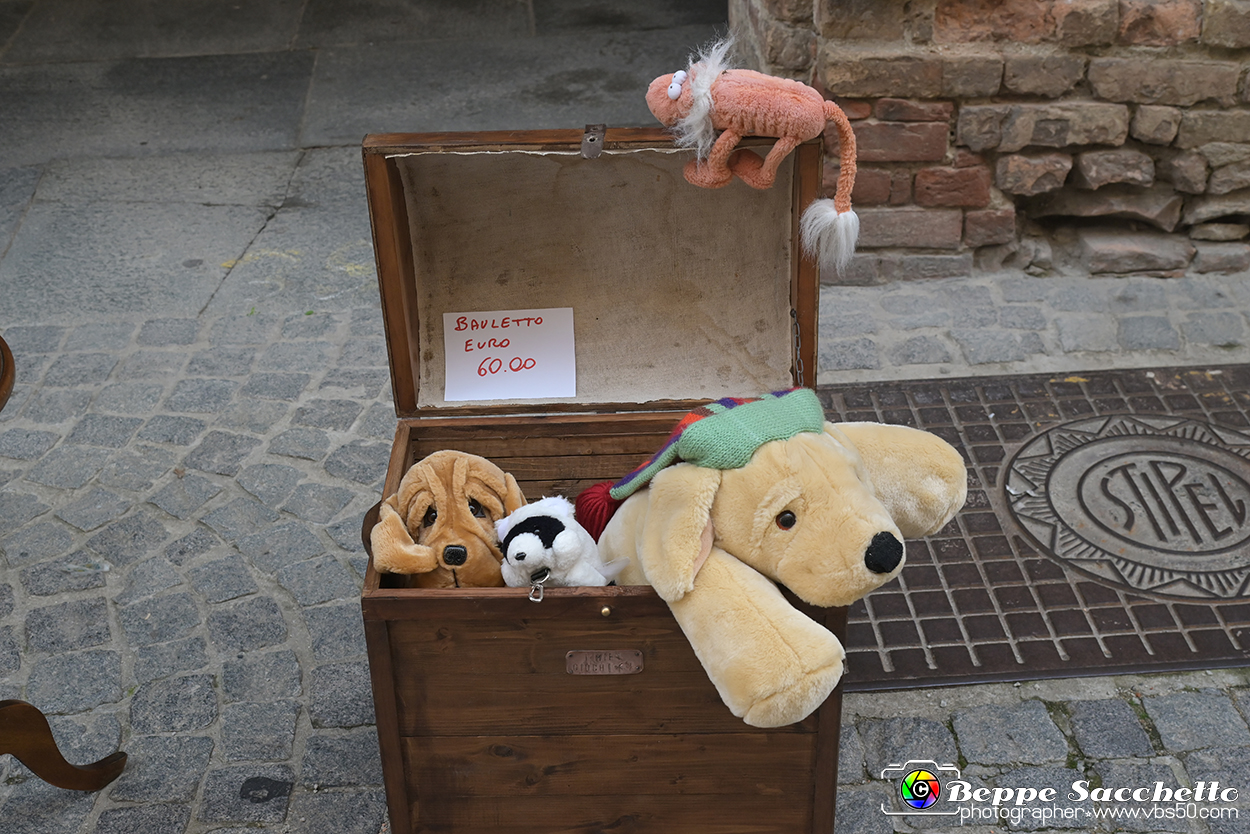 VBS_6576 - Mercatino dell'Antiquariato e dell'Hobbismo - Ottobre 2023.jpg